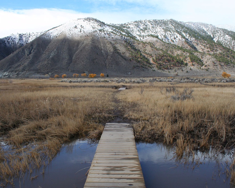 8x10-2021-10-26.2-East-Brockliss-Loop.jpg