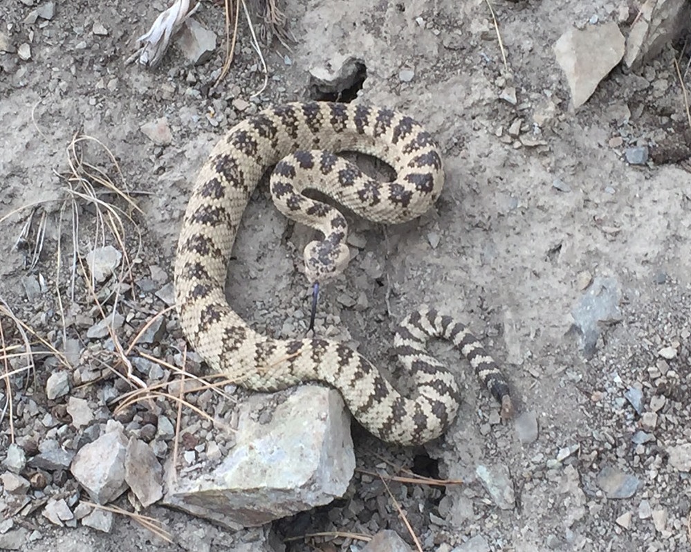 8x10-Eagle-Ridge-2019-05-12.jpg