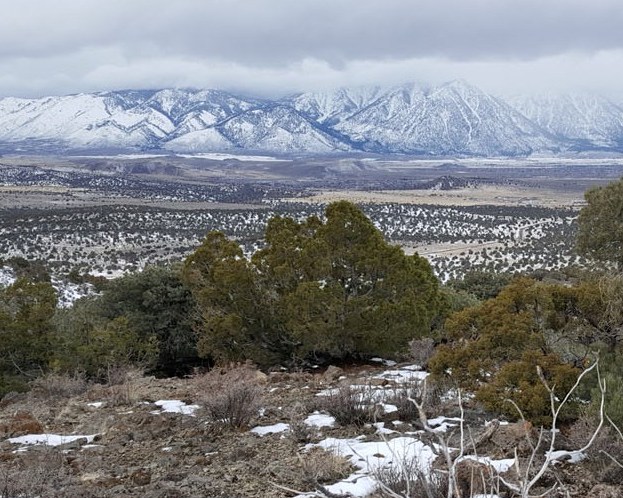 8x10-Pinyon-Trail-2017-01-18.jpg